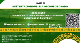  Sustentación pública opción de grado